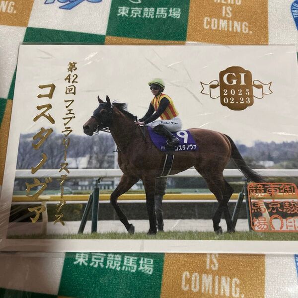 ☆JRA 2025 フェブラリーステークス コスタノヴァ 御駿印 競馬