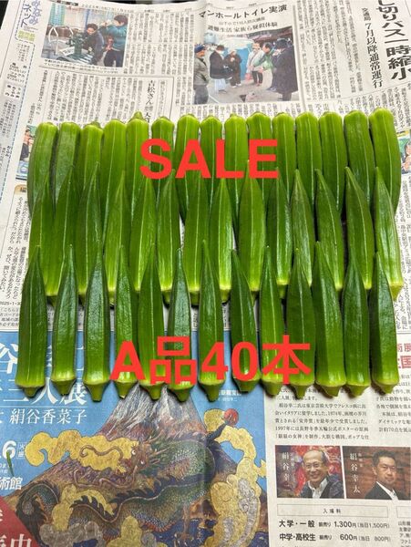 生産日本一!指宿産オクラ!A品約40本!