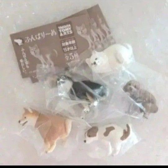 ふんばり~ぬ 全5種セット カプセルトイ ふんばりーぬ シークレットなし