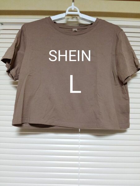 半袖Tシャツ ブラウン トップス