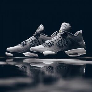 エアジョーダン4 クールグレー 美品!!箱あり! NIKE