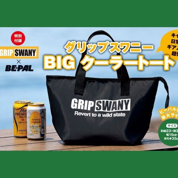 BE-PAL8月号付録 保冷バッグ