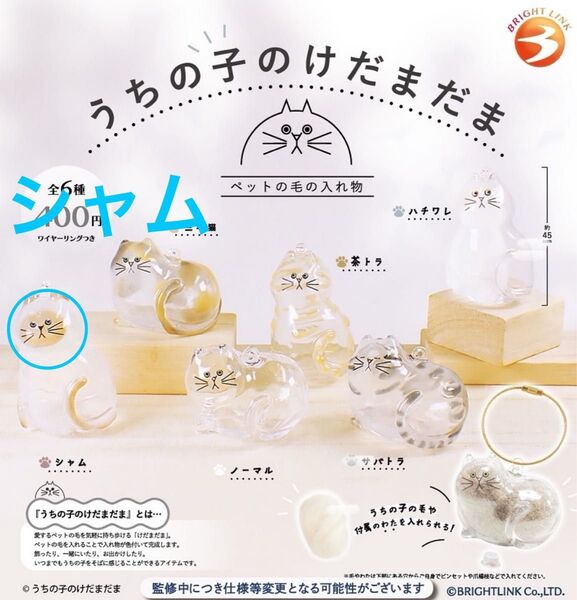 うちの子のけだまだま 猫 ガチャ シャム 正規品