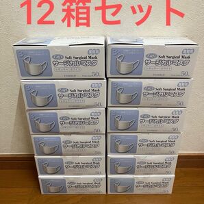 【フジナップ】フジソフト サージカルマスク 50枚 12箱セット レギュラーサイズ