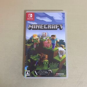 Nintendo Switch Minecraft