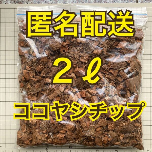 ココヤシチップ 2リットル