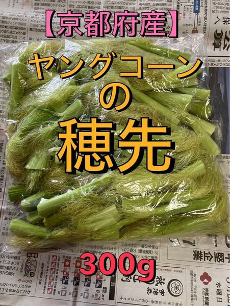 ヤングコーンの穂先 無農薬無化学肥料栽培