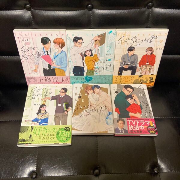 私たちが恋する理由 既刊全巻(1〜6巻)