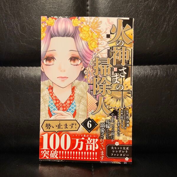 火の神さまの掃除人ですが、いつの間にか花嫁として溺愛されています(6)