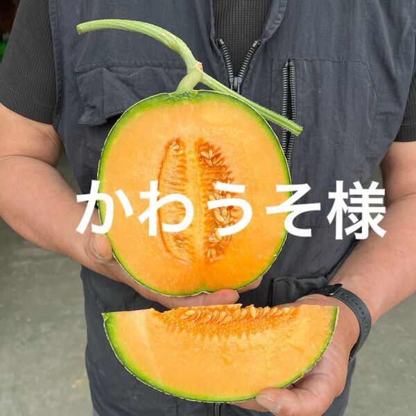 北海道ハウスメロン