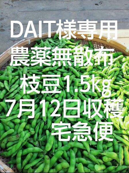 【農薬無散布】枝豆1.5kg 湯上がり娘 7月12日 土曜日 収穫分 匿名便 宅急便コンパクト
