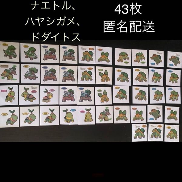 計43枚セット デコキャラシール ナエトル ハヤシガメ ドダイトス くさタイプ シンオウ ステッカー ポケモン ポケモンパン