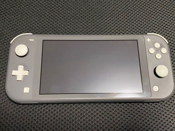Nintendo Switch Lite ニンテンドースイッチライト ジャンク