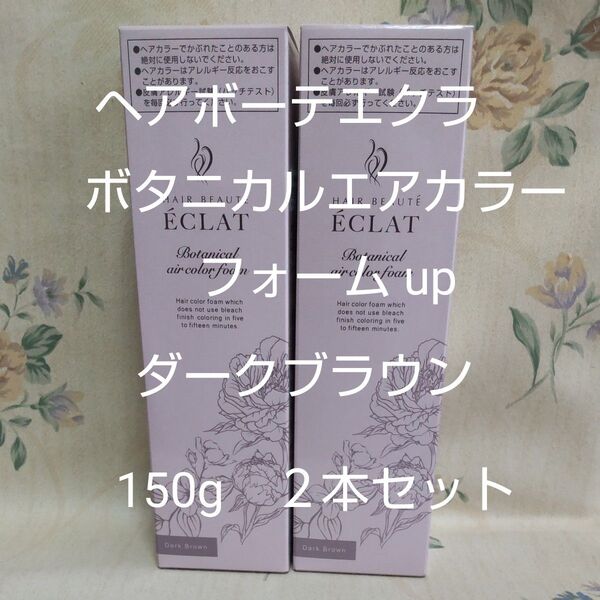 ヘアボーテエクラ ボタニカルエアカラーフォームup ダークブラウン 150g 2本セット