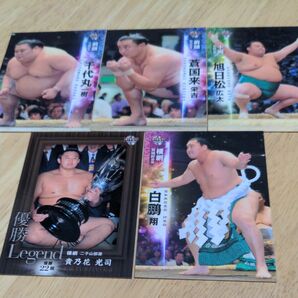 BBM2015 大相撲カード 5枚セット 貴乃花 白鵬 千代丸 蒼国来 旭日松