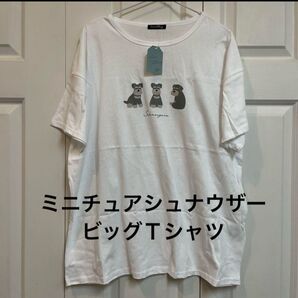 【新品】ミニチュアシュナウザー ビッグTシャツ 半袖 M〜L ホワイト