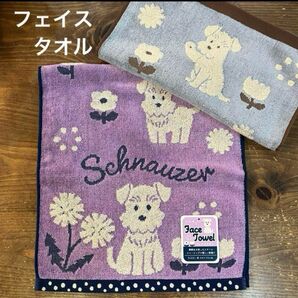 【新品】シュナウザー スチームシャーリングフェイスタオル③2枚セット