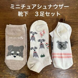 【新品】ミニチュアシュナウザー 靴下3足セット 銀イオン加工 メッシュ