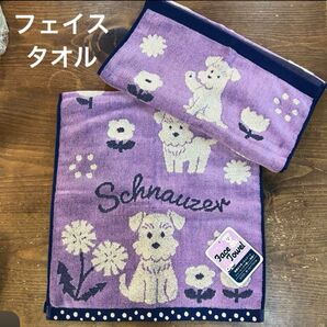 【新品】シュナウザー スチームシャーリングフェイスタオル③パープル2枚セット