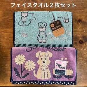 【新品】シュナウザー スチームシャーリング&ジャガードフェイスタオル 2枚セット