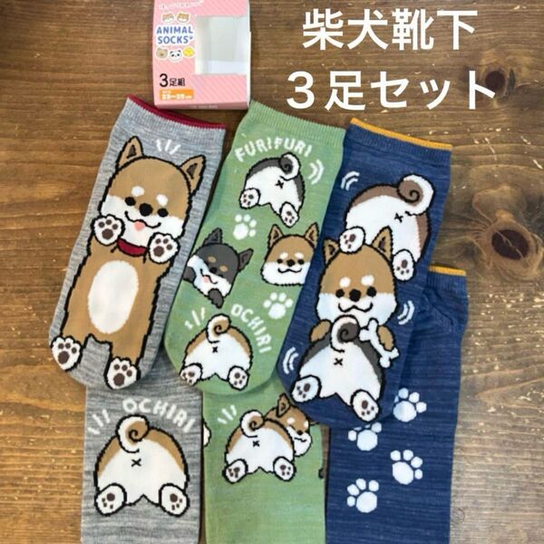 【新品】柴犬 シバ犬 シバ 犬 靴下 ソックス 3足セット