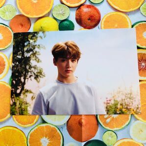 BTS 展示会 ジョングク 生写真 ミニフォト トレカ PTD golden 公式