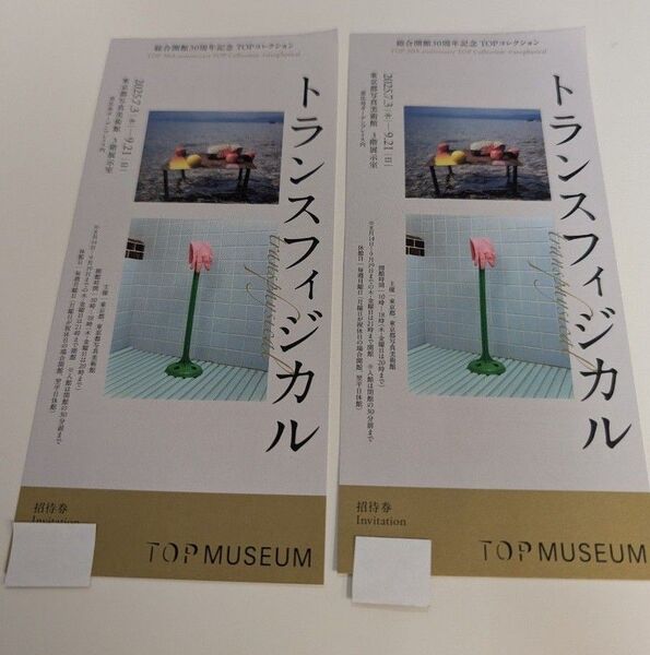 東京都写真美術館 チケット2枚 トランスフィジカル