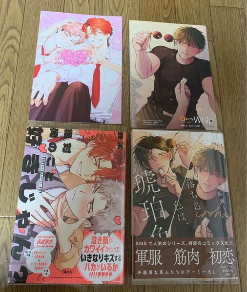 【新刊】BLコミック 薄井爺太『絶対俺のこと好きじゃん?』藤瀬とな『落ちる色は、琥珀色』アニメイト とらのあな 4Pリーフレット
