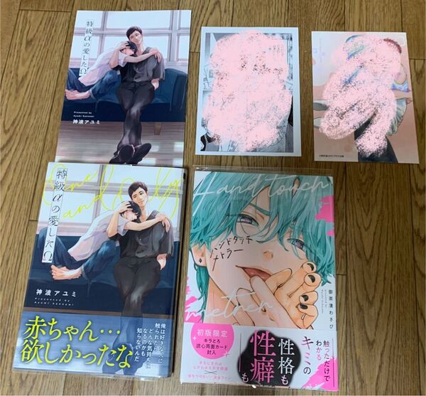 神波アユミ『特級αの愛したΩ』御茶漬わさび『ハンドタッチメトラー』アニメイト リーフレット 初回限定封入特典両面カード ペーパー