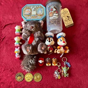 ディズニーリゾートグッズ! ディズニー