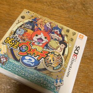 任天堂 3DS ソフト ニンテンドー 本家