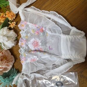 新品 シースルーショーツ