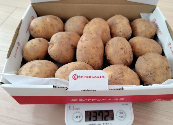 じゃがいも:出島 広島県産 島育ち 無農薬 家庭用 訳あり ゆうパケットプラスで箱込1.3kg以上で発送 おまけ付き