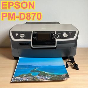 【動作品】 EPSON エプソン PM-D870 プリンター インクジェットプリンター Colorio