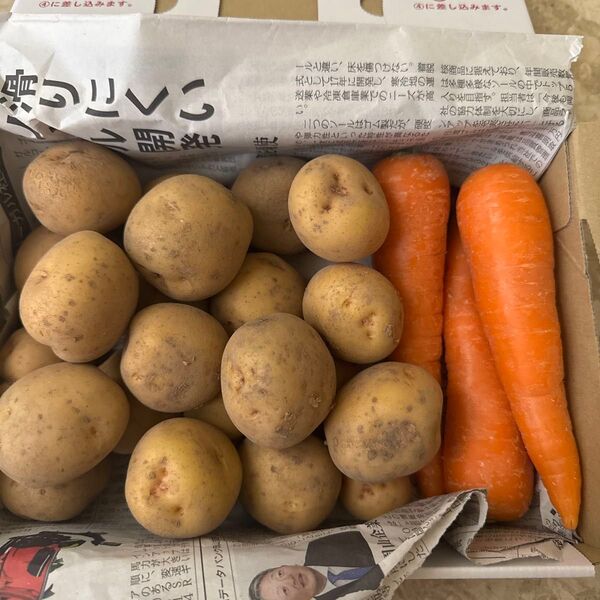 岡山県産無農薬にんじん、じゃがいも1.5キロ