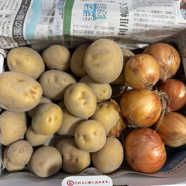 岡山県産無農薬北あかり玉ねぎ