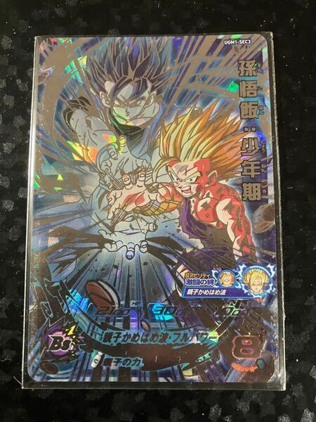 ドラゴンボールヒーローズ ugm1-sec3 孫悟飯少年期