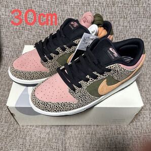 Arts Rec × Nike SB Dunk Low Pro "Rust Pink and Rough Green"30㎝