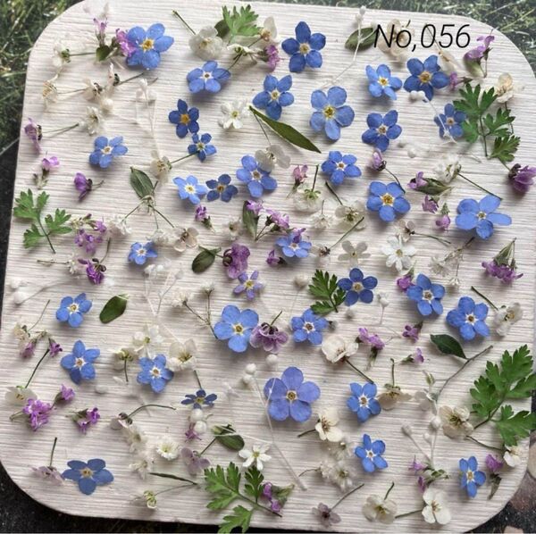 No,056 特小小花ミックス ドライフラワー花材