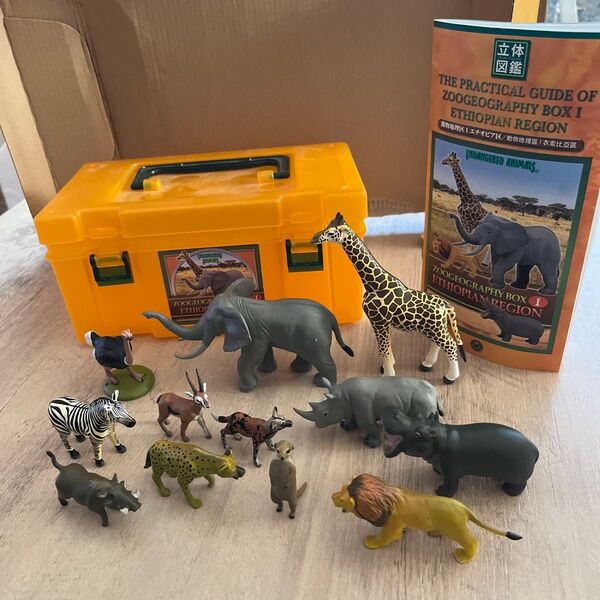 立体図鑑 ZOOGEOGRAPHY BOX Ⅰ エチオピア区 動物フィギュア 12体セット