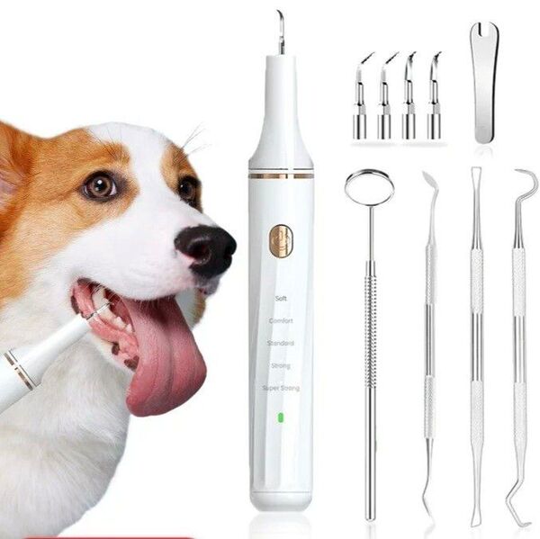 ペット口腔洗浄機 超音波歯クリーナー 犬・猫兼用 USB充電式 クリーニングキット 日本語説明書付き 歯石取り 歯石除去
