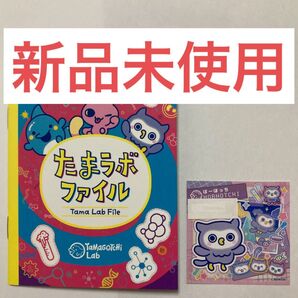 たまごっちパラダイス ほーほっち ステッカー たまラボファイル Amazon限定 アマゾン限定