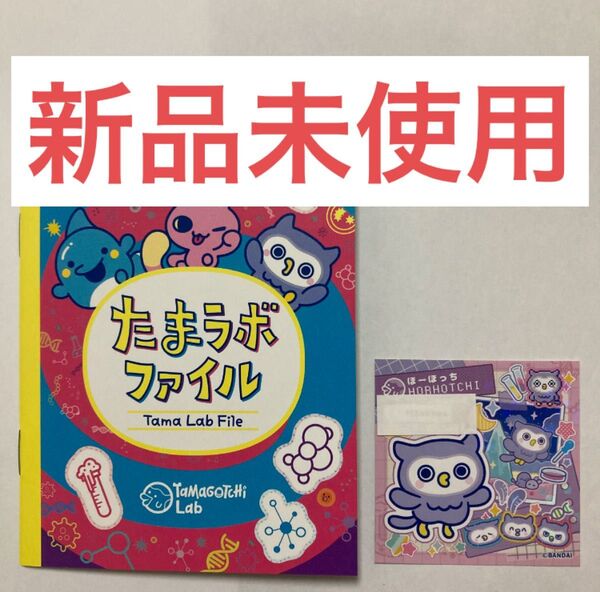 たまごっちパラダイス ほーほっち ステッカー たまラボファイル Amazon アマゾン限定 tamagotchi paradise
