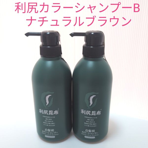 利尻カラーシャンプーB ナチュラルブラウン500ml×2本セット