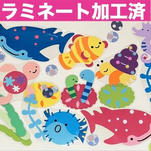 壁面飾り 海の仲間 ラミネート加工済 夏 7月 8月