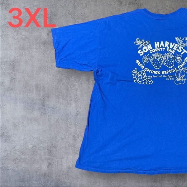 【US古着】ブルー 3XL Tシャツ 半袖 レギュラー プリント メンズ レディース 大きいサイズ オーバーサイズGILDAN