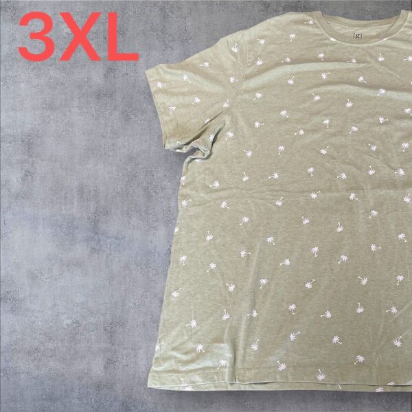【US古着】ライトグリーン 3XL Tシャツ 半袖 レギュラー プリント メンズ レディース 大きいサイズ オーバーサイズ