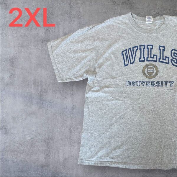 【US古着】グレー 2XL Tシャツ 半袖 レギュラー プリント メンズ レディース 大きいサイズ オーバーサイズGILDAN