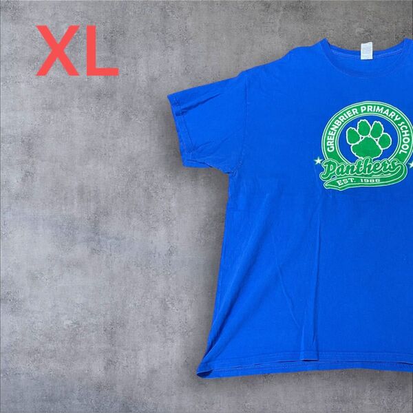 【US古着】ブルー XL Tシャツ 半袖 レギュラー プリント メンズ レディース 大きいサイズ オーバーサイズGILDAN