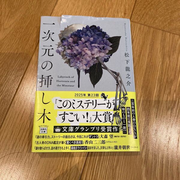 一次元の挿し木 (宝島社文庫 Cま-5-1 このミス大賞) 松下龍之介/著